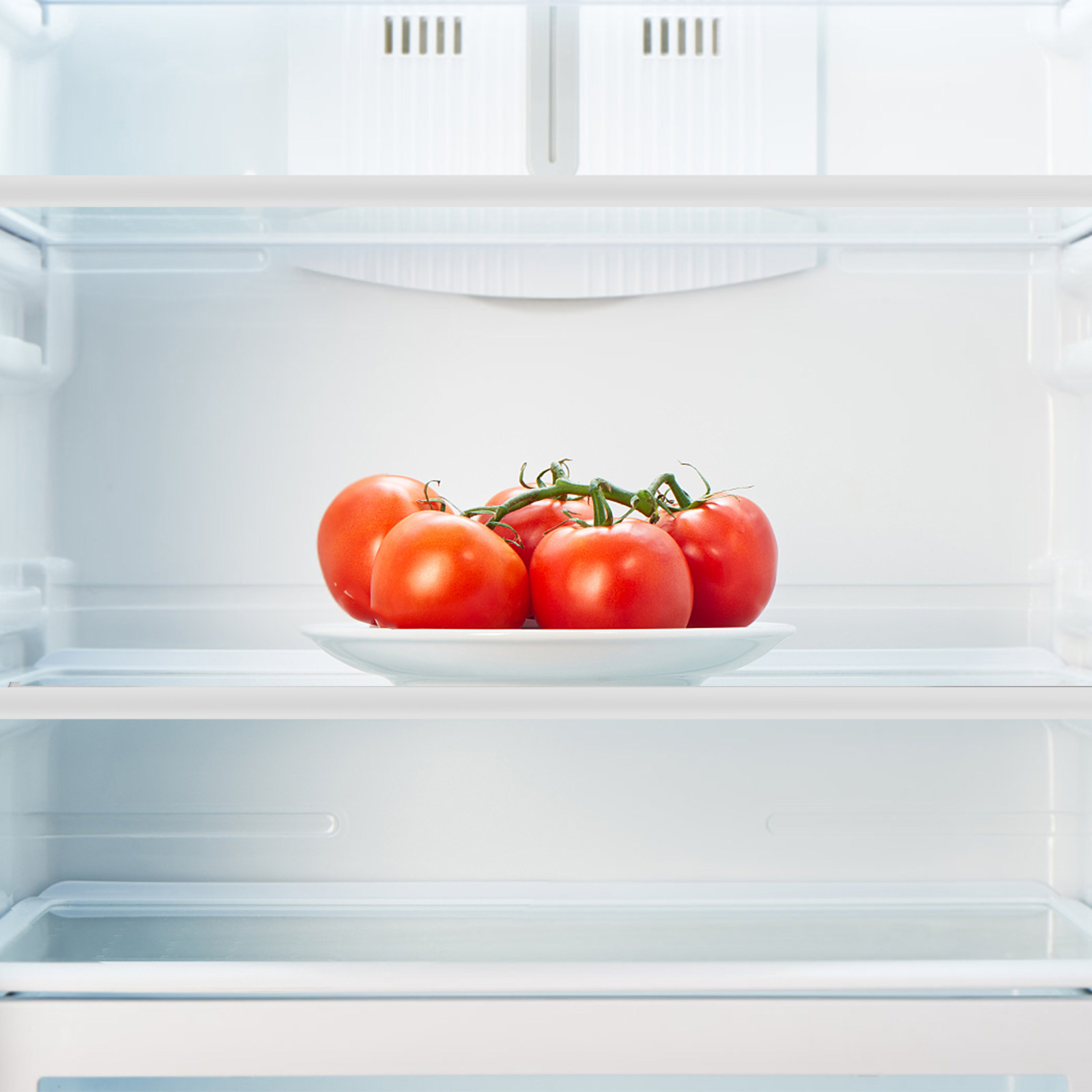 冷蔵庫用ガラス棚仕切り板 強化ガラス キッチン生鮮食品用板  - Food Storage With Dividers のレビューと価格