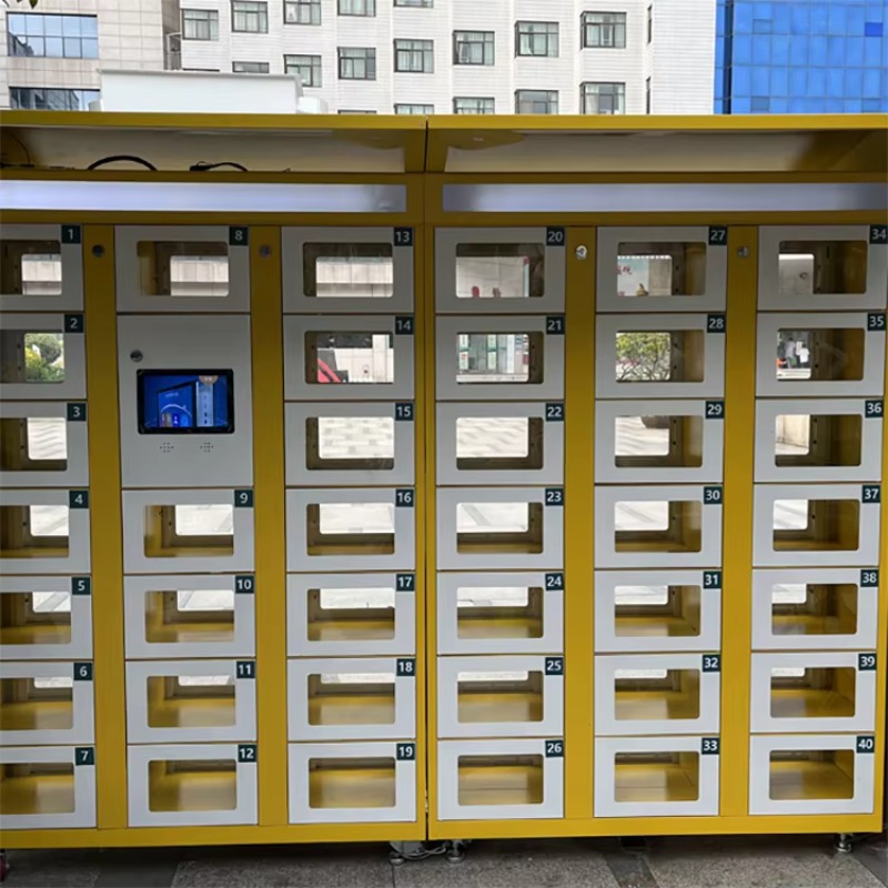 カスタム両面ロッカー電子ロック付き冷間圧延鋼スマート食品保管 - Lock And Lock Food Storage のレビューと価格